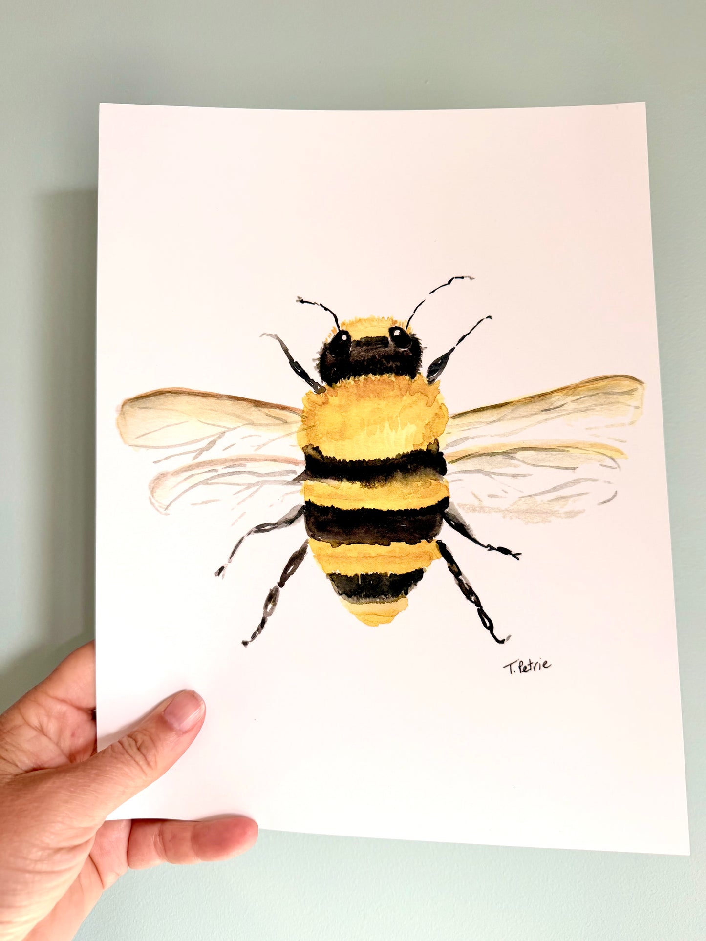 Honey Bee