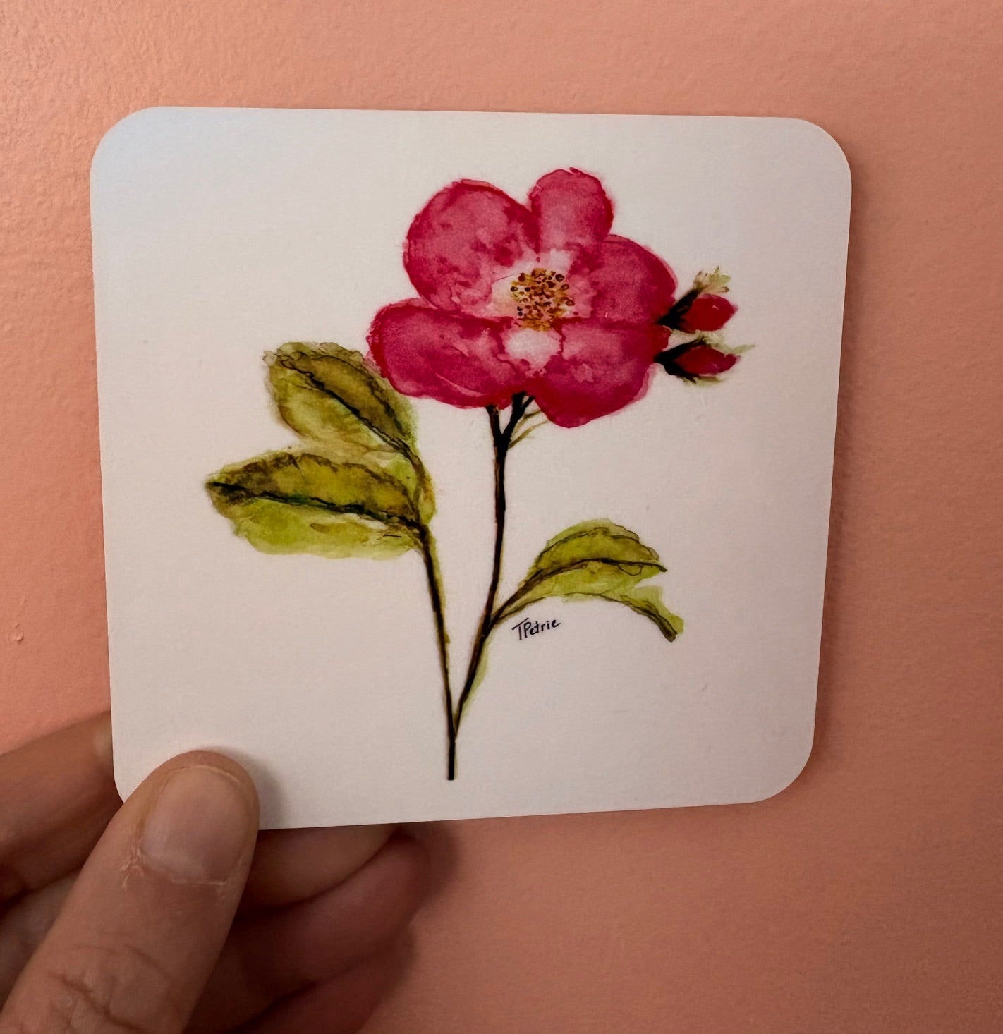 Wild Rose Coasters