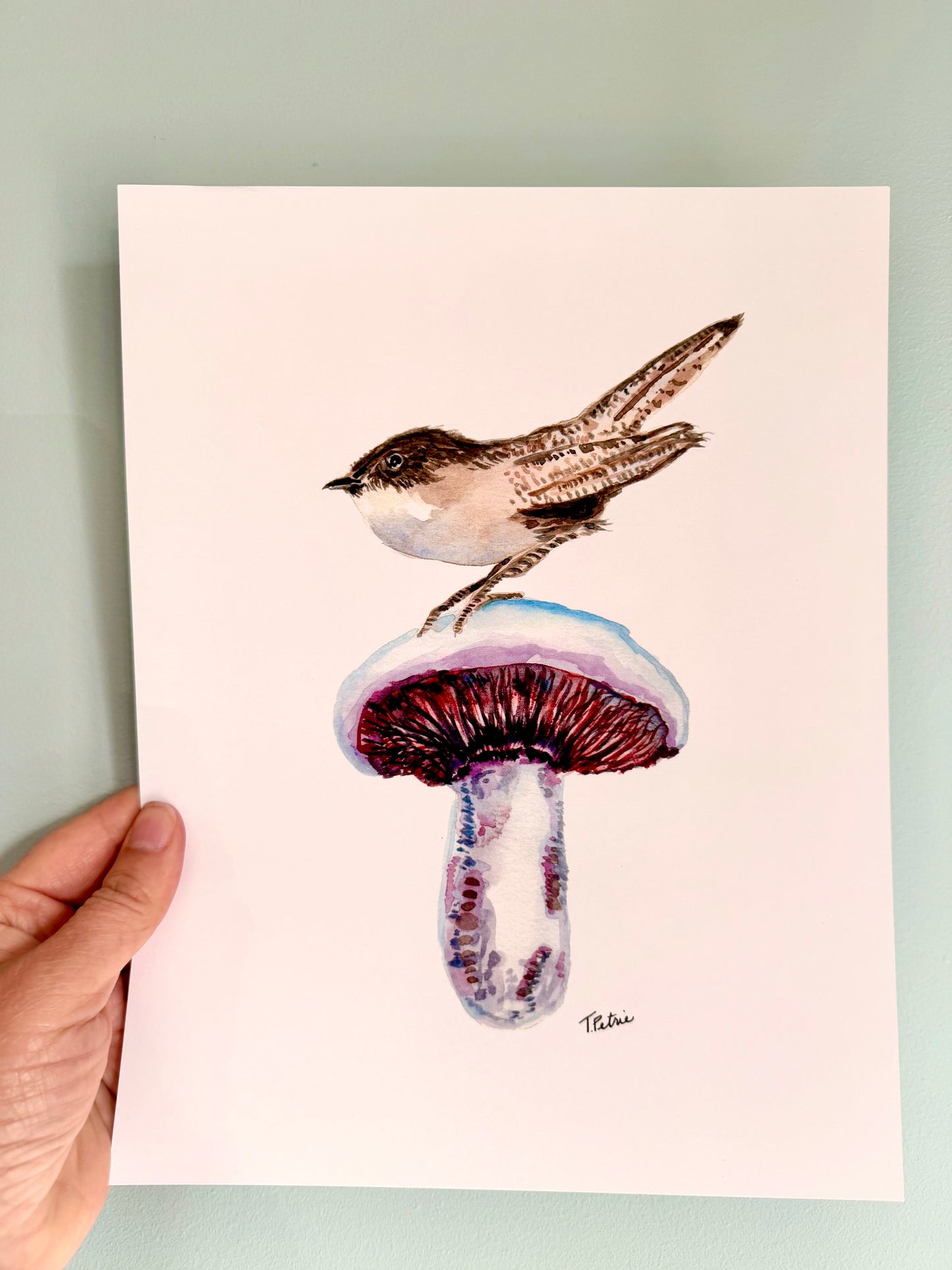 Wren and Mushroom Print