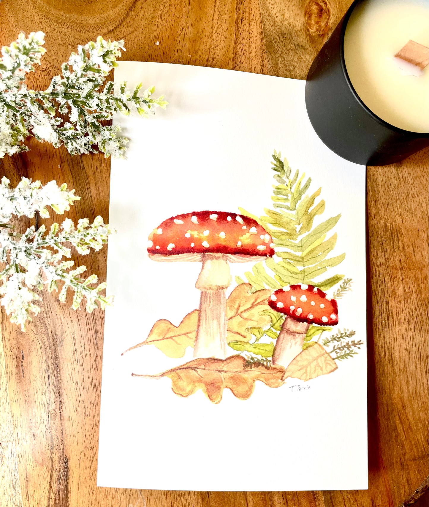 Mushroom Card