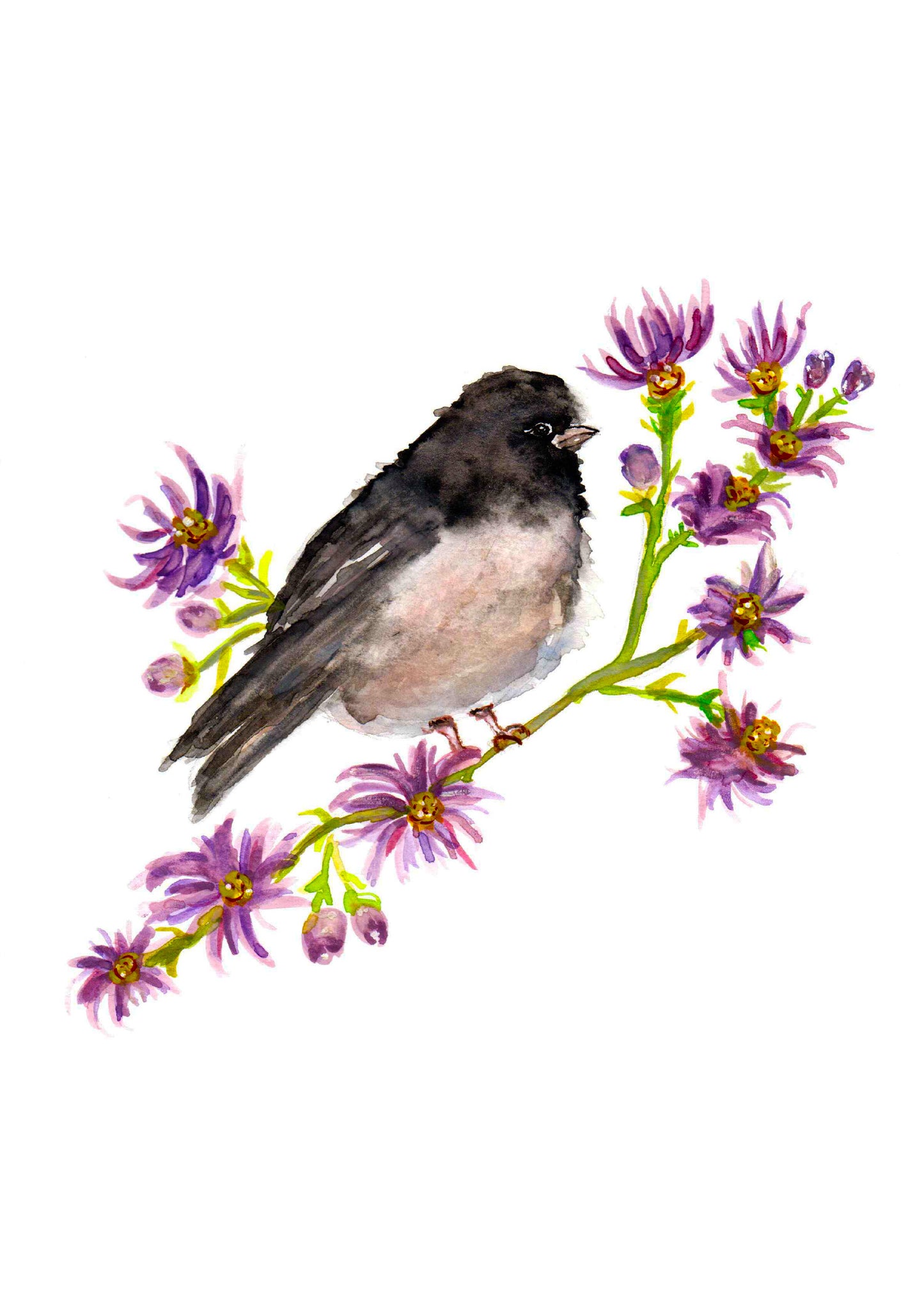 Junco Greeting Card