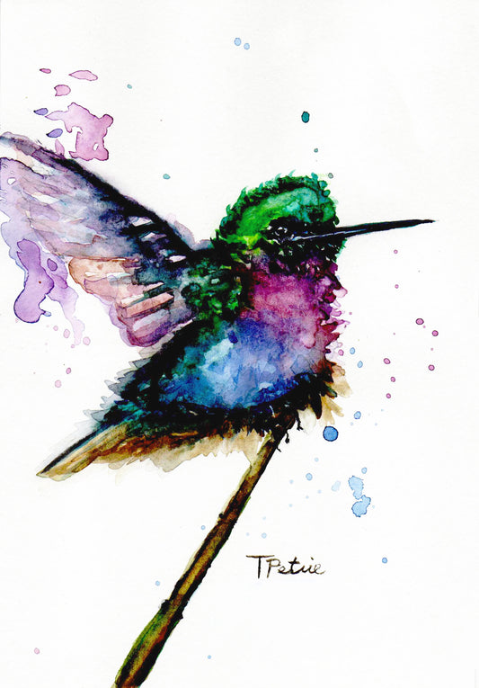 Hummingbird Card