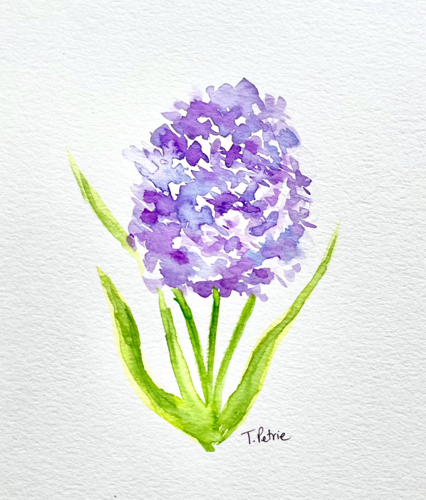 Workshops- Adults Beginner Watercolour Paint Night