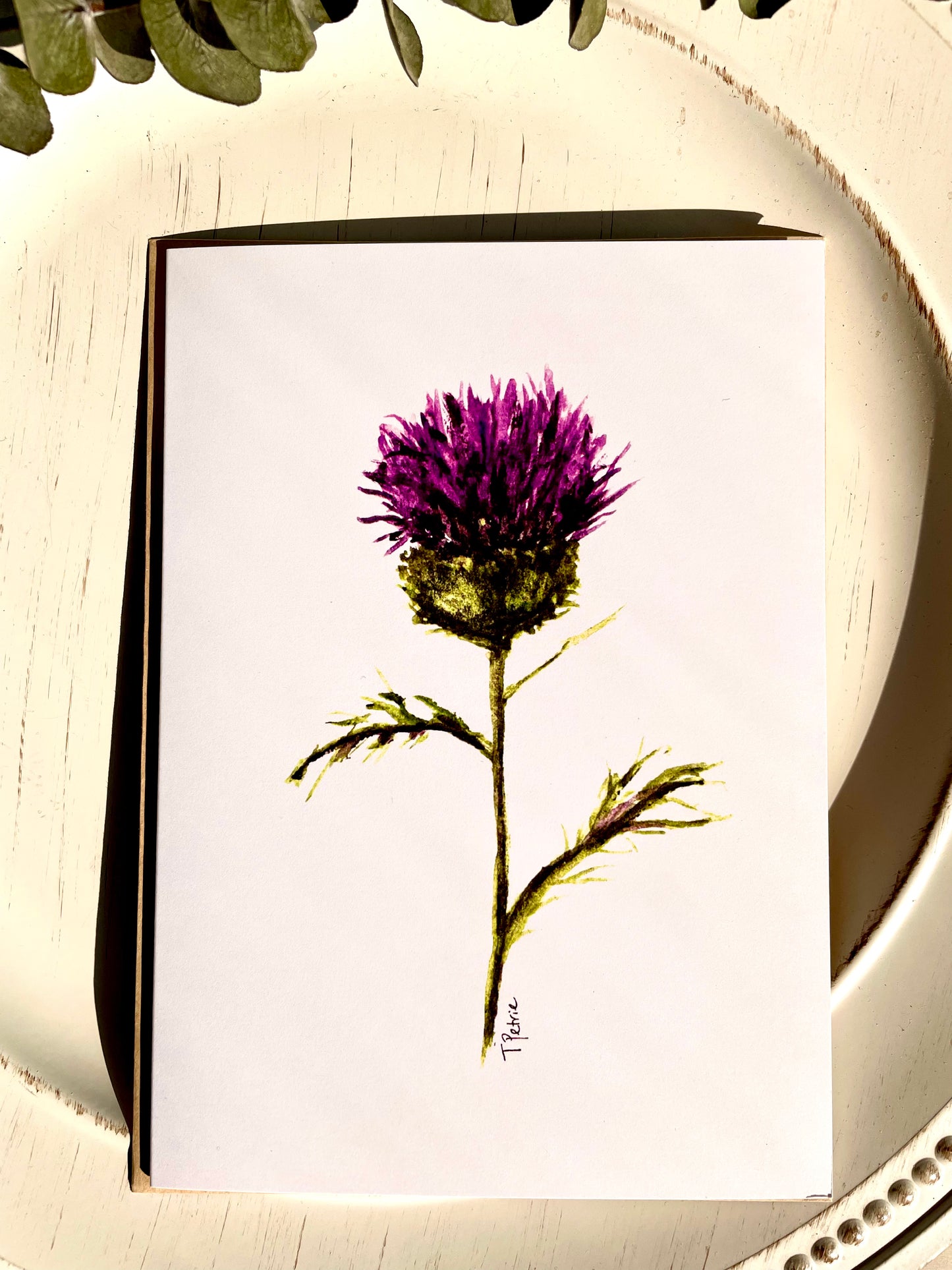 Scottish Thistle Card