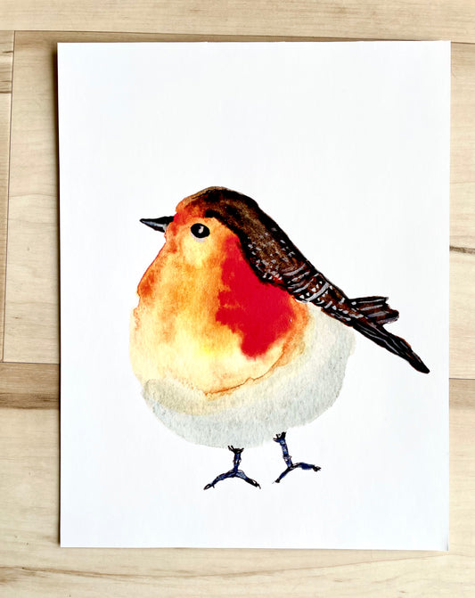 Robin Red Breast Wall Art Print